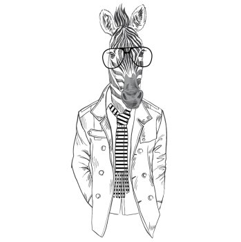 zebra male dressed up in modern urban style