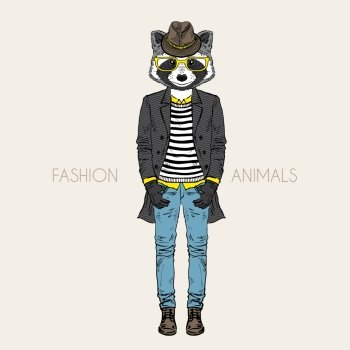 fashion raccoon