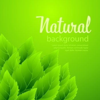 Natural vector background with green spring leaves EPS10