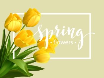 Spring text with  tulip flower. Vector illustration. Spring text with  tulip flower. Vector illustration EPS10