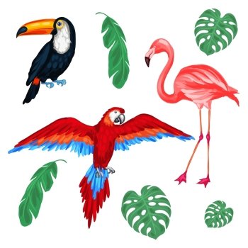 Set of tropical birds and palm leaves. Set of tropical birds and palm leaves.