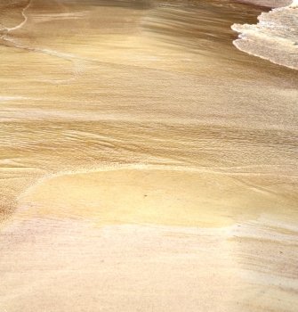 abstract thailand kho tao bay of a  wet sand and the beach in  south china sea