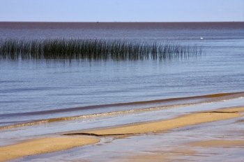 beach and grass in rio de la plata  colonia del sacramento  uruguay