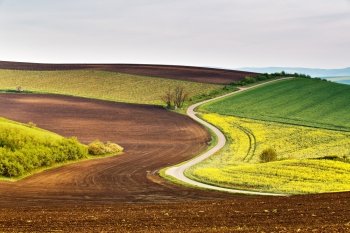Road in Moravia hills in April. Spring fields and meadows