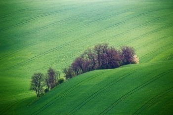 Green spring hills. Arable lands in Czech Moravia