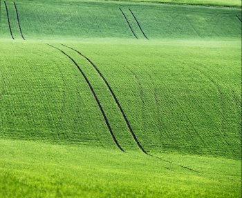 Green spring hills. Arable lands in Czech Moravia. April