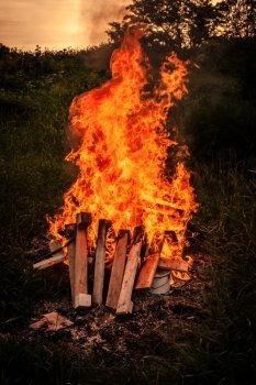 Bonfire at a camp in natural surroundings