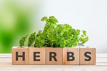 Herbs sign with fresh green parsley on a wooden table