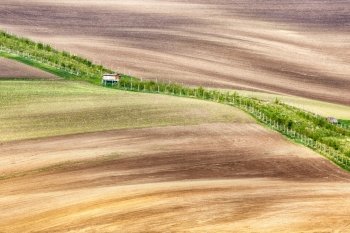 Lines and waves with with grass border, South Moravia, Czech Republic