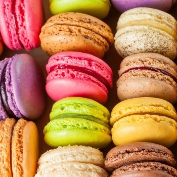 traditional french colorful macarons in a rows