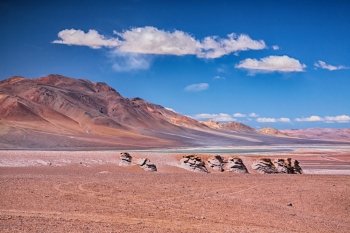 Salar Aguas Calientes, desert Atacama, Chile