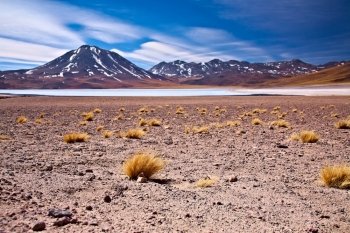 altiplano lagoon Miscanti close to cerro Miscanti, desert Atacama, Chile