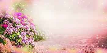 Garden background with pink garden flowers, banner. Floral Outdoor background with carnation flowers