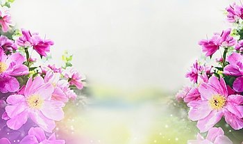 Flowers garden background with close up of pink peonies, banner