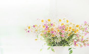 Daisies bunch  on light background, floral border