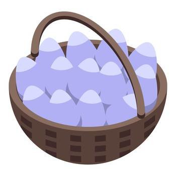 Full basket of eggs icon isometric vector. Chicken farm. Stable industry business. Full basket of eggs icon isometric vector. Chicken farm