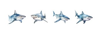 Watercolor shark set. Vector illustration design.