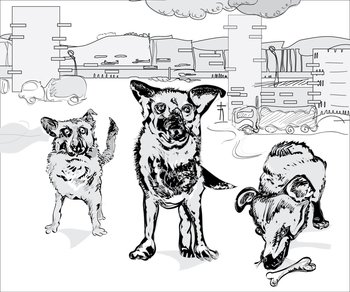 Dogs in the city Royalty Free Vector Image