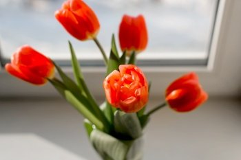 Bright red tulips in vase on windowsill indoors on sunny day. Close-up, top view. Bouquet of beautiful spring flowers. Selective focus