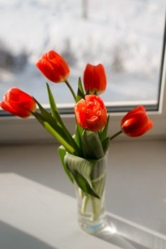 Bouquet of spring flowers. Red tulips in vase on windowsill indoors on sunny day, top view. Selective focus