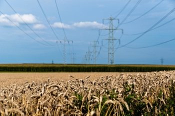 Corn and hay fields with power poles being placed within