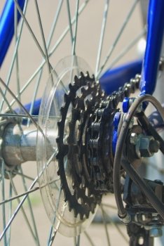 Bike gear wheel and chain