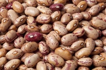  Pinto beans ,Phaseolus vulgaris full frame