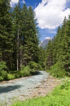 summer view of Avisio stream in Val di Fassa, italian dolomites