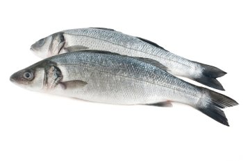 two sea bass isolated on white with clipping path