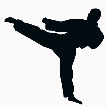 Sport Silhouette - Karate Kick isolated black image on white background
