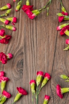 red carnation over wodden table