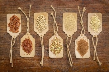abstract of healthy, gluten free grains (quinoa, sorghum, brown rice, teff, buckwheat, amaranth, millet) - top view of paper price tags against rustic wood
