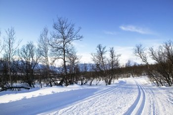 Cross country ski trails in the mountains of Norway.