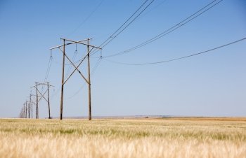 A high capacity prairie power line stretches off into the distance.