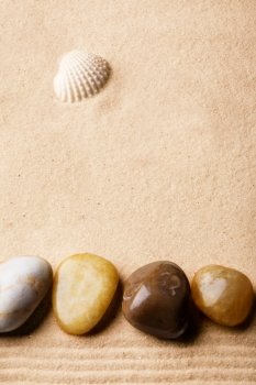 A beach abstract background with sand, rocks, and a shell