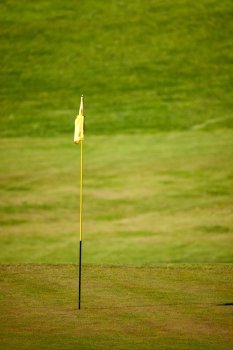 A green on a golf course, shallow depth of field
