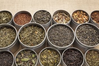samples of loose leaf green, white, black red, and herbal tea in metal cans on canvas background