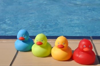 four colorful rubber ducks at the pool side (kids toy)