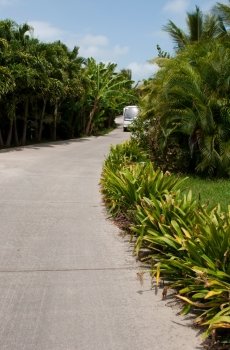 golf car approaching on pathway in a tropical resort with trees, flowers and plants