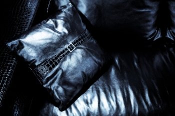 beautiful leather cushion on the black couch