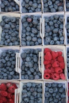 blueberries and raspberries, displayed in cardboard boxes
