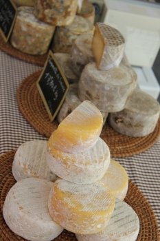 Different sorts of cheese at a local French market in the Provence