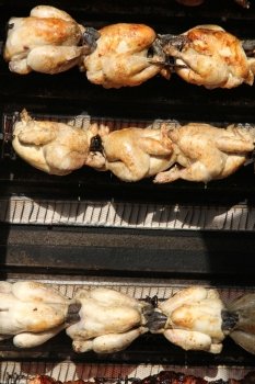 Roasted chicken on the grill at a local French market