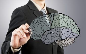 Business man drawing human brain diagram