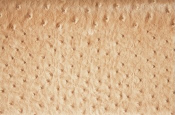 leather texture ostrich spots