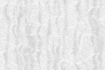 Animal fur image of a nice fur background 