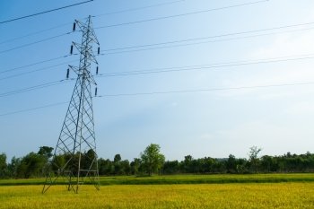 high voltage pylons in rice fields. All rice growing. In the spring.