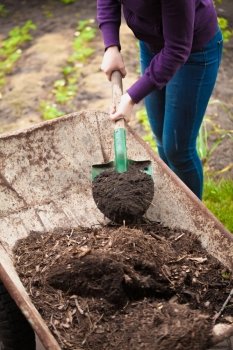 Closeup photo of woman taking compost from wheelbarrow with shovel