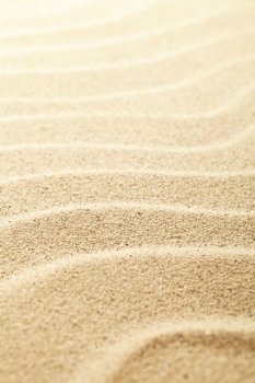 Sandy background. Sand beach texture for summer. Macro shot. Copy space