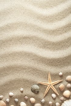 Sandy background with shells and starfish. Summer concept. Top view